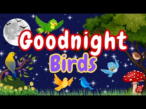 Goodnight Birds | Calming Bedtime Story for Kids | Relaxing Sleep Story with Gentle Music