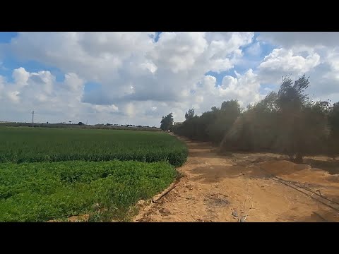 قطعة ارض 45 فدان علي الاسفلت مباشر في ابو غالب اول طريق مصر اسكندرية الصحراوي