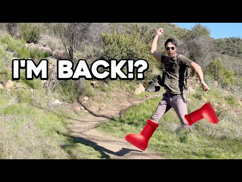 I'M BACK!? BUT WHERE WAS I?!