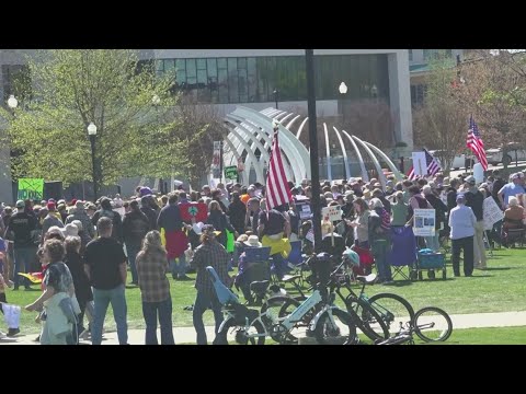 Crowds turn out for 'No Kings' protests in northern Alabama
