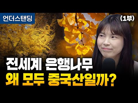 (1부) 전세계 은행나무, 왜 모두 중국산일까? (안주현 박사)