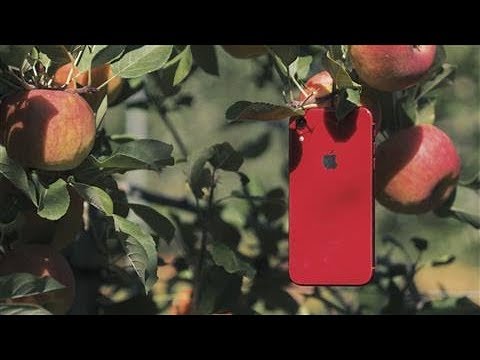 iPhone XR vs. XS: Which Apple Do You Pick?