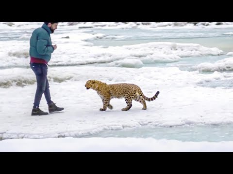 Brave Rescue Team Saves Horse from Deep Swamp | When Animals Asked For Help