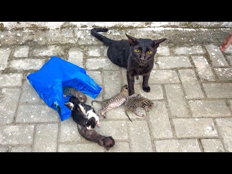 Please don't leave, Take me with you | She already lost babies