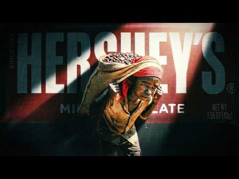 The Dark Truth of Chocolate