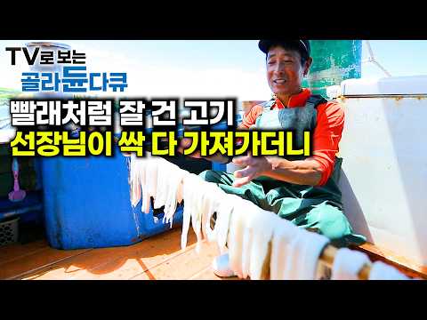평생 갯장어만 잡던 선장님이 시킨대로 했을 뿐! 갓 잡은 고기를 마구 썰어주는 선장님｜🌊여름 여수 섬바다🌊1시간 몰아보기｜한국기행｜#tv로보는골라듄다큐