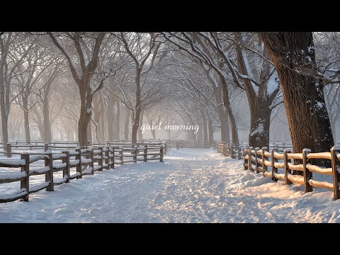 quiet winter playlist ❄️ soft piano for reading, studying & relaxing