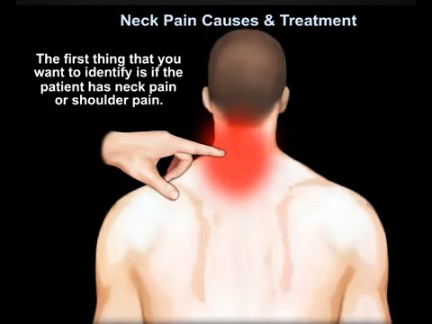 Spine Exam Neck & Upper Extremity - Everything You Need To Know - Dr. Nabil Ebraheim