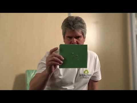 Обучение Хвойная Подложка