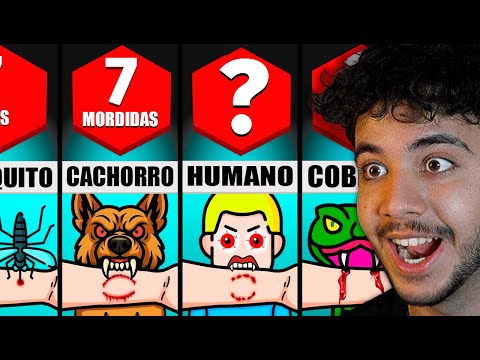 Quantas Mordidas podem te MATAR?