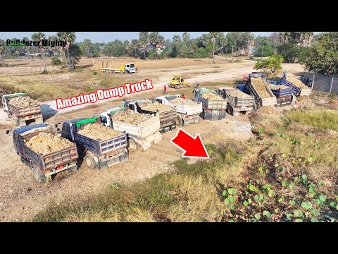 The Best Dump Truck Unloading, Filling Up The Land huge, Bulldozer KOMATSU D31PX Push Soil & Stone