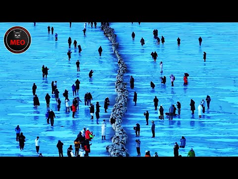 Incredible Moments Caught on Camera | Best Of Month (P3)