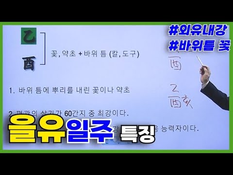 [Advanced] Round of 16 - Characteristics of the Eul-Yu (乙酉) Week