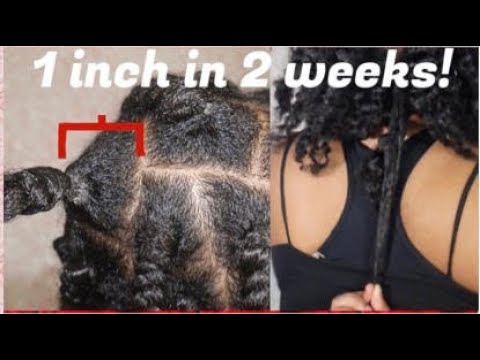 HOW TO GROW YOUR HAIR WITH BRAIDS| TIPS & TRICKS FOR FAST HAIR GROWTH| Safiya Bae