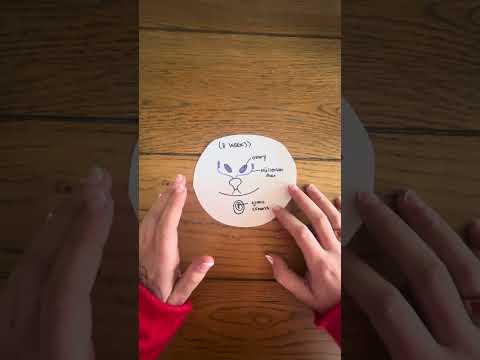 Tutorials: Topic 4: Hormones and Sex