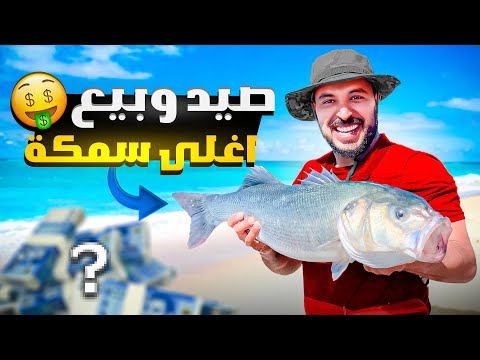 واخيرا تحدي صيد اغلى سمكة في المغرب نجح شوفو بشحال تباعت الحصيلة؟