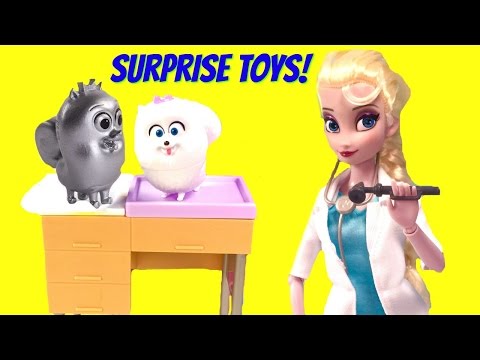 Doctor Elsa Surprise Show! Secret Life of Pets