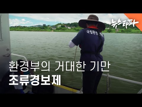 대를 이은 환경부 기만 정책, 조류경보제 - 뉴스타파