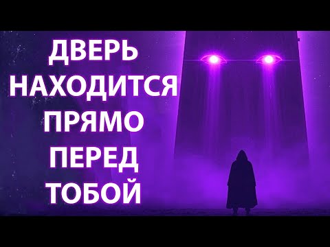 Если сейчас жизнь не имеет смысла — квантовая дверь вот-вот откроется