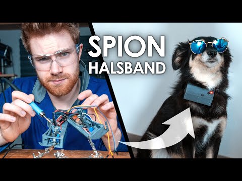 Batman-Gadget für meinen Hund bauen!