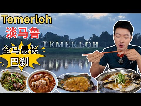 [Temerloh淡马鲁～美食, 打卡] 全马最长巴刹！瓦煲Patin Tempoyak! 亚光面档～夜来香蛋花汤！东安菠菜面！ABC Temerloh~瓦煲老鼠粉！伟记招牌茄子！明记咖喱面！