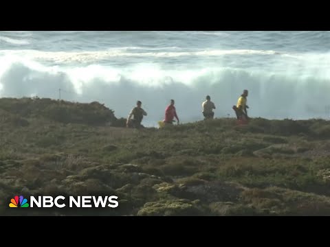 Diver finds body of 7-year-old who was swept away into the ocean in Big Sur