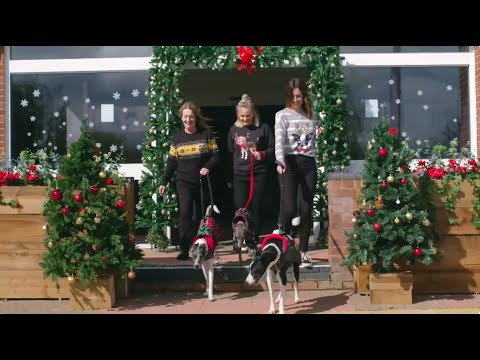 The Dog House at Christmas 2025 | Full Episode (Channel 4)
