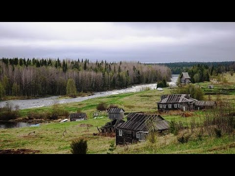 Моя жизнь в Таёжной деревне. Снова заснял Медведей. Зверь у дома. Май, Сморчки, Рыбалка.