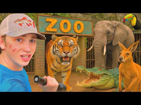 I Found an Abandoned Zoo…