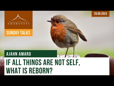 If All Things Are Not Self, What Is Reborn? | Ajahn Amaro | 29.09.2024