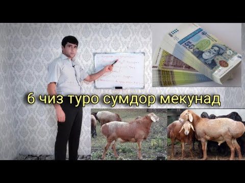 Аз хисоби Гусфанд сумдор шудам.  Шарифхони Мирали н. Фархор