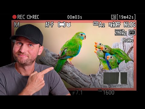 The VIDEO Settings & Techniques You NEED TO KNOW!