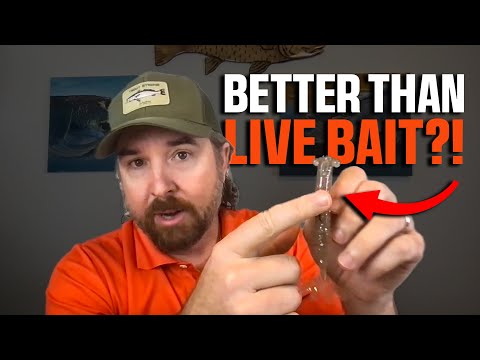 The Secret Glide That Makes Shrimp Lures Deadly