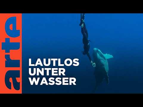 Im Reich der Tiefe | Doku HD | ARTE