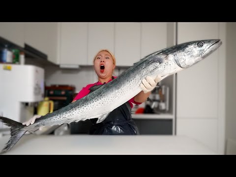 It was a dawn market vlog, and I ended up buying a king mackerel(?)🔥