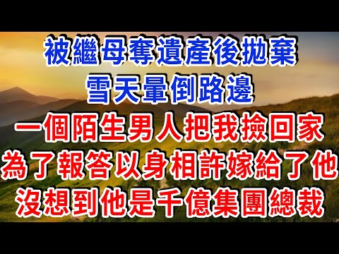 被繼母奪遺產後拋棄，雪天暈倒路邊，一個陌生男人把我撿回家，為了報答以身相許嫁給了他，沒想到他是千億集團總裁！#雅婷講故事#為人處世#生活經驗#情感故事#晚年哲理#說故事#完結文#出軌