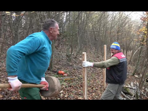 Žene hoće lagodan život u gradu,teško će mo se oženit