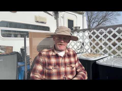 “People Are Broke, Businesses Are Dying, and No One in Power Is Listening”