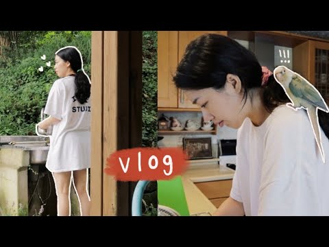 #123 Vlog(광고) I 요즘 하루가 빨리가는 이유 I 시골살이 I 동물 4마리 데리고 살기 I 김갈릭