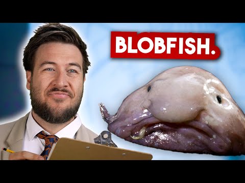 How Ocean Creatures Got Their Names