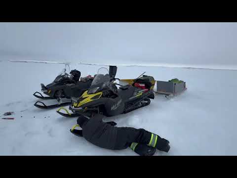 A trip to Upirngivik Labrador  to check if there is beluga and explore the land.