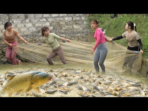 Full Video: The Young Girls Used Bait To Lure Fish, Harvesting Many Big Fish And Goes to Market Sell