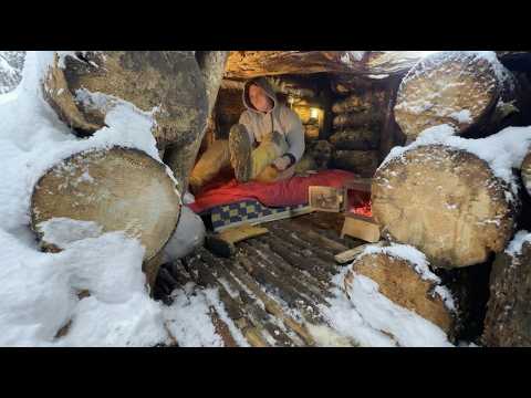 Man Builds Secret Shelter Under Giant Fallen Tree
