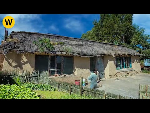 Being suspended by his boss, a lieutenant came back his hometown renovated an old house