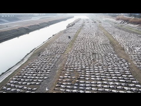 Вещи, Которые Случались Только Один Раз в Жизни