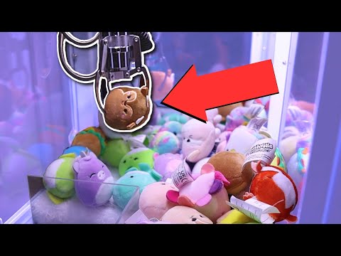 I put my Squishmallows into a CLAW MACHINE