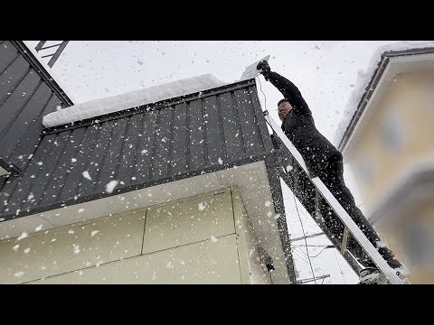 Hokkaido Blizzard Life: We Finally Got Internet!