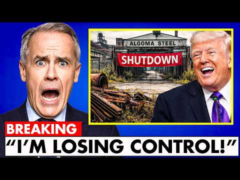 Canada IN SHOCK As Steel Market CRASHED! THIS IS HUGE!