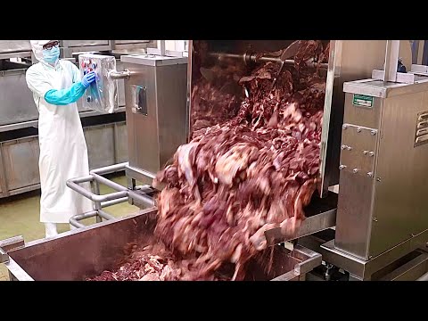 The Secret Behind Japan’s Perfect Food Factories.