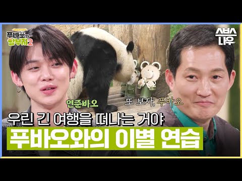 "그곳이 어디든 우린 다시 만날 거야" 송바오, 송영관 사육사가 전하는 진심 그리고 눈물 나는 푸바오와의 이별 준비🐼 #푸바오와할부지2 l SBSNOW